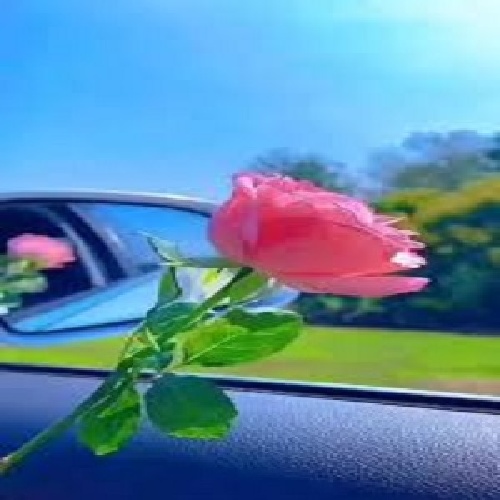 دیجی هیجران بیر سن قالاسان ( دمیرم گویلومی نازنان آلاسان )